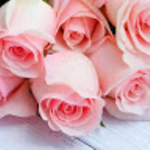 Meet your Posher, Mandana